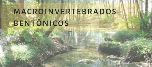 Macrosinvertebrados Bentônicos!